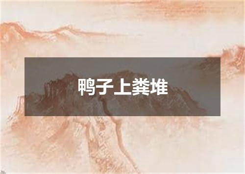 鸭子上粪堆