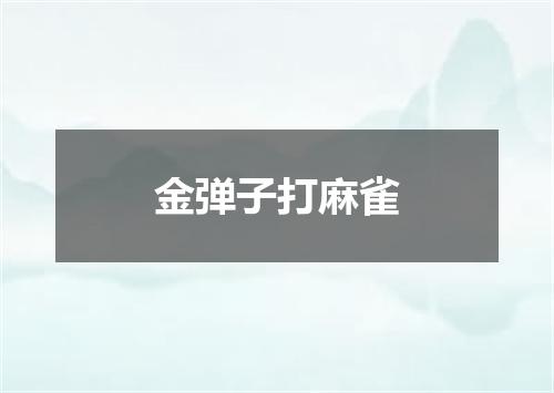 金弹子打麻雀