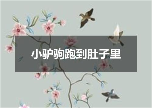 小驴驹跑到肚子里