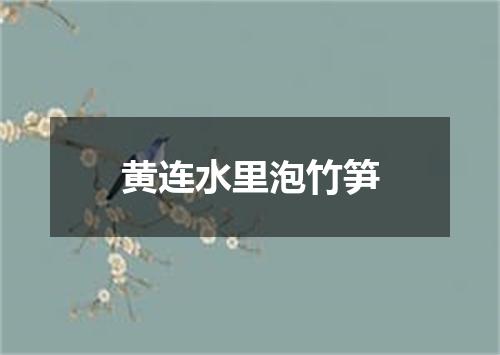 黄连水里泡竹笋
