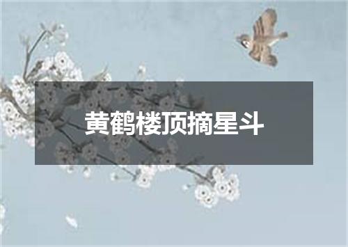 黄鹤楼顶摘星斗