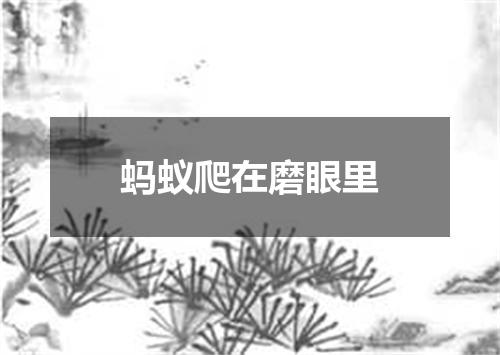 蚂蚁爬在磨眼里
