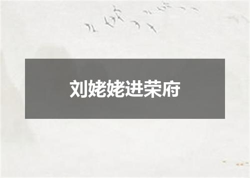 刘姥姥进荣府