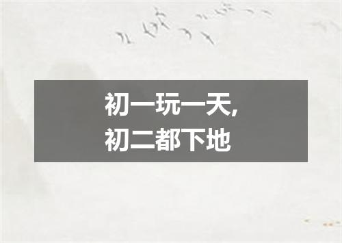 初一玩一天,初二都下地
