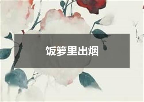 饭箩里出烟