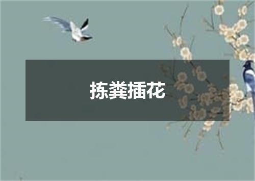 拣粪插花