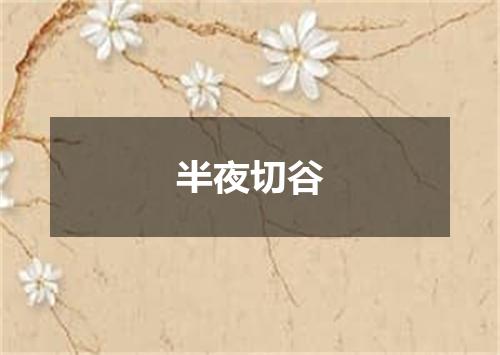半夜切谷