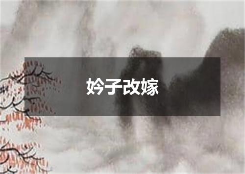 妗子改嫁