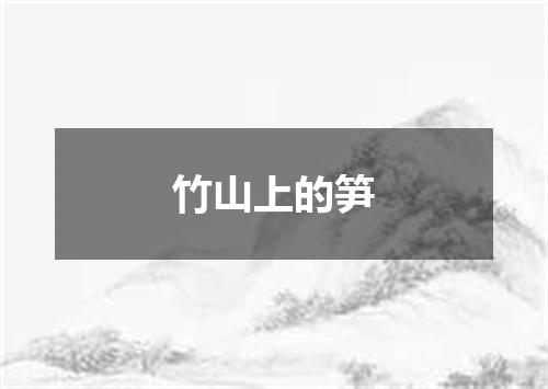 竹山上的笋
