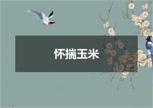 怀揣玉米