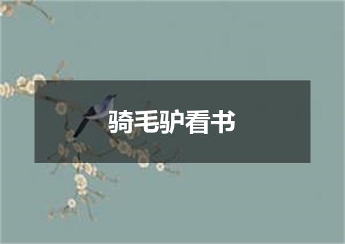 骑毛驴看书