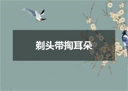 剃头带掏耳朵