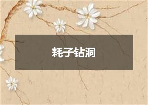 耗子钻洞