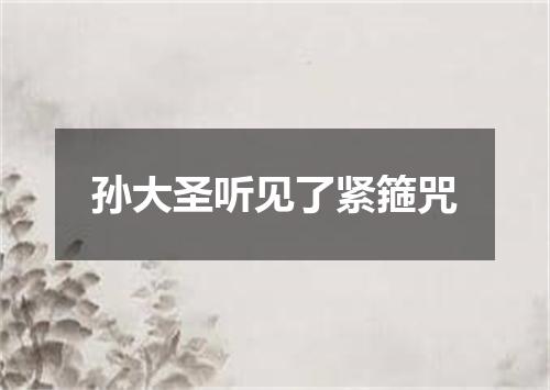 孙大圣听见了紧箍咒