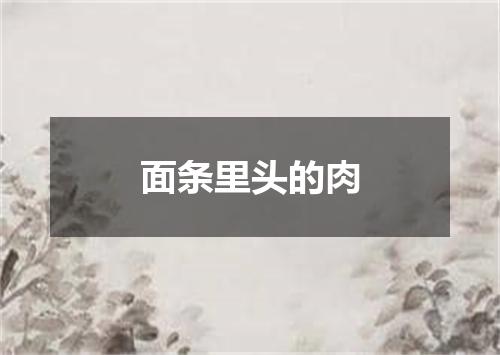 面条里头的肉