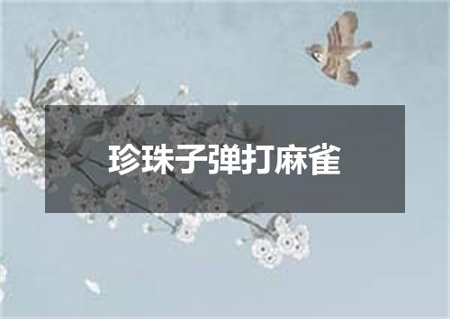 珍珠子弹打麻雀