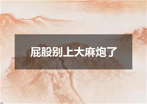屁股别上大麻炮了