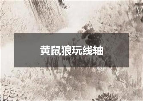 黄鼠狼玩线轴