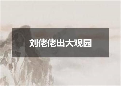 刘佬佬出大观园
