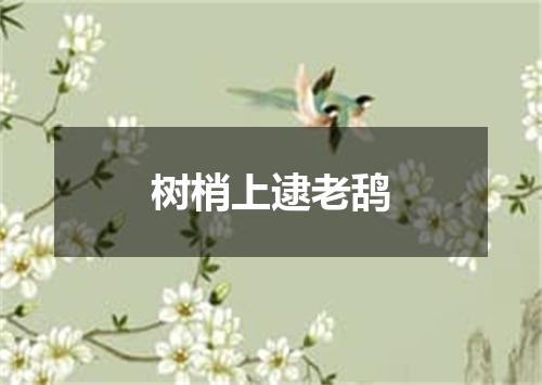 树梢上逮老鸹