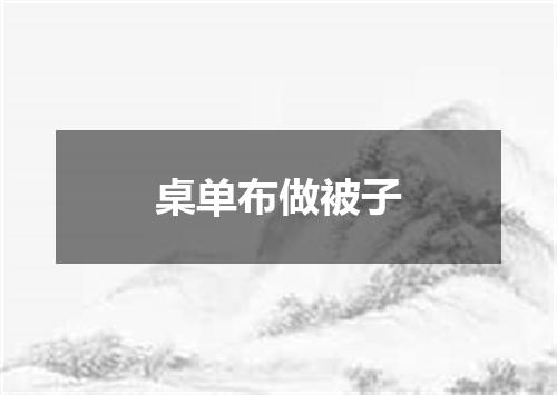 桌单布做被子