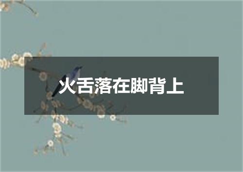 火舌落在脚背上