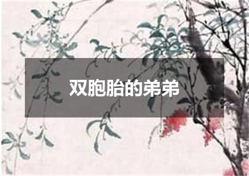 双胞胎的弟弟