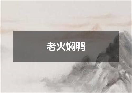 老火焖鸭