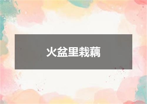 火盆里栽藕
