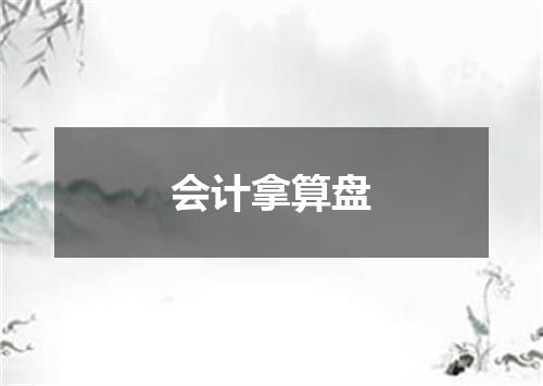 会计拿算盘