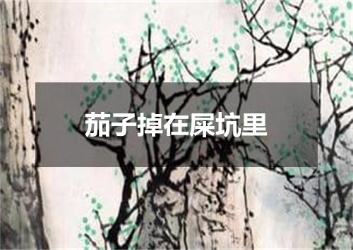 茄子掉在屎坑里