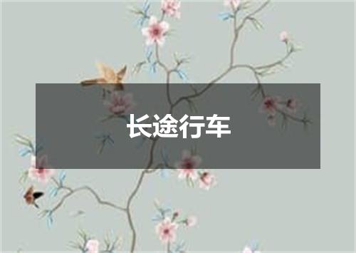 长途行车