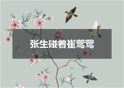 张生碰着崔莺莺