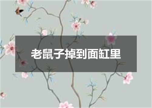 老鼠子掉到面缸里