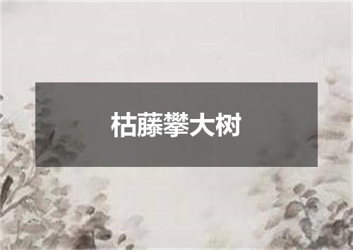 枯藤攀大树