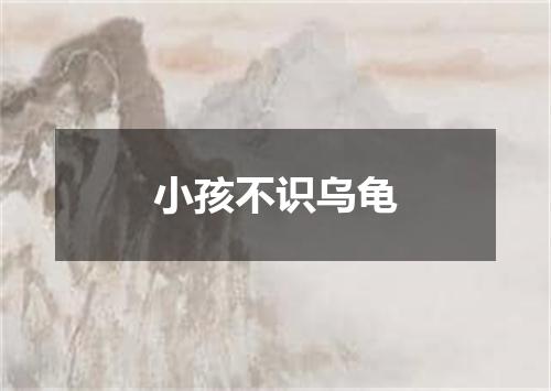 小孩不识乌龟
