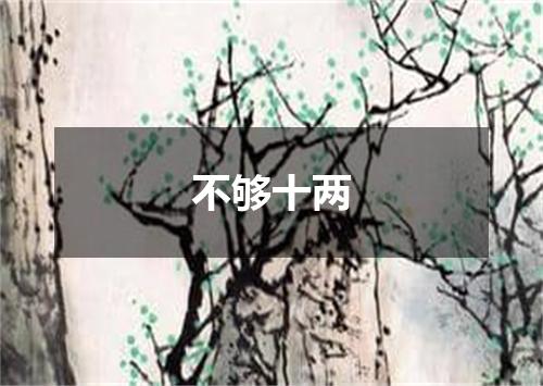 不够十两