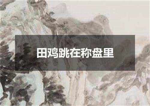 田鸡跳在称盘里
