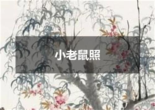 小老鼠照