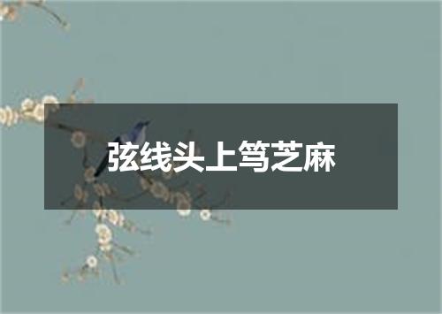 弦线头上笃芝麻