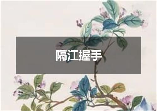 隔江握手