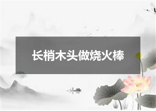 长梢木头做烧火棒