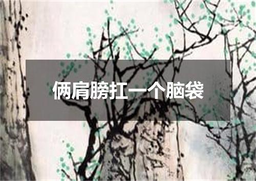 俩肩膀扛一个脑袋