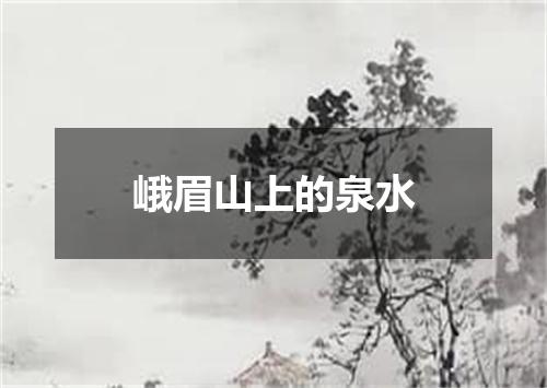 峨眉山上的泉水