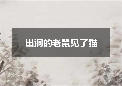 出洞的老鼠见了猫