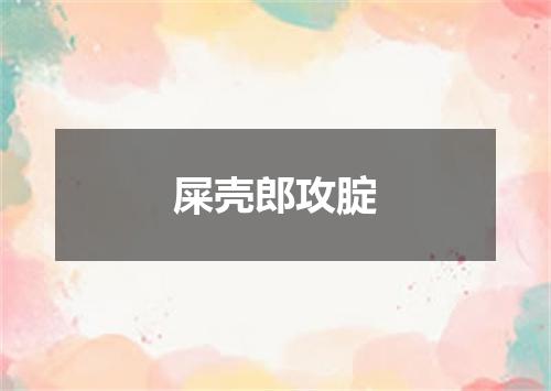 屎壳郎攻腚