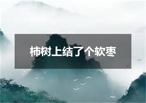 柿树上结了个软枣