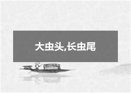 大虫头,长虫尾
