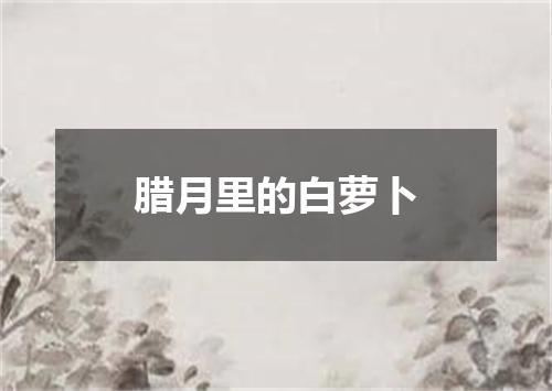 腊月里的白萝卜