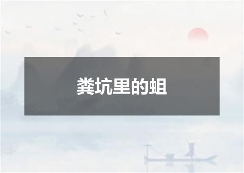 粪坑里的蛆
